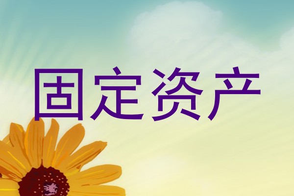 固定资产