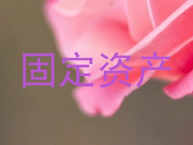 固定资产