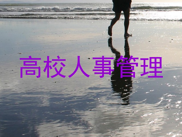 高校人事管理