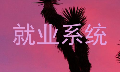 就业系统
