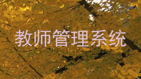 教师管理系统