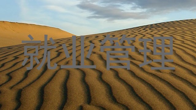 就业管理