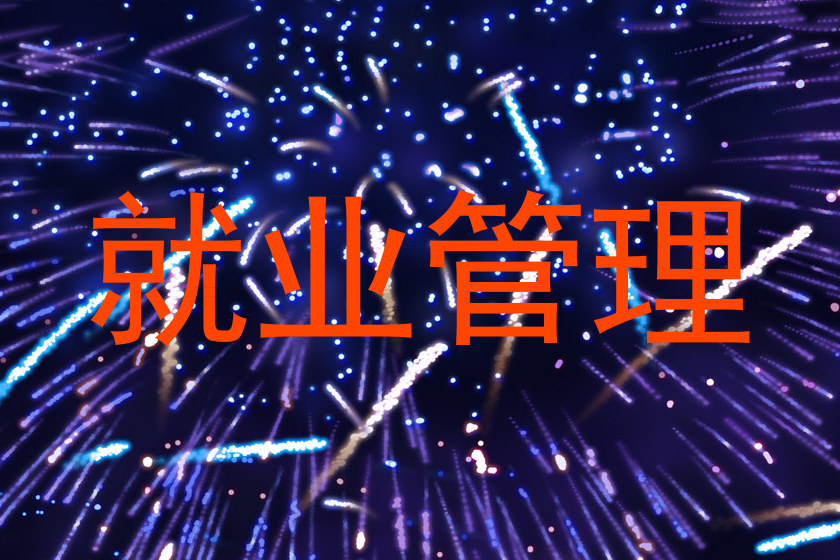 就业管理
