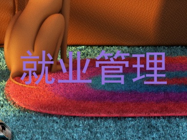 就业管理