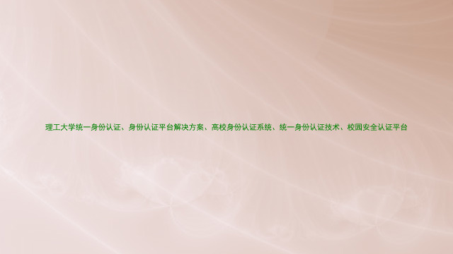 理工大学统一身份认证、身份认证平台解决方案、高校身份认证系统、统一身份认证技术、校园安全认证平台
