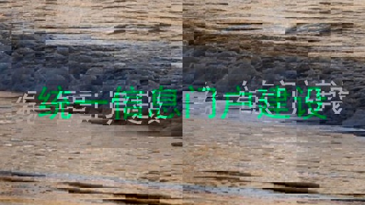 统一信息门户建设