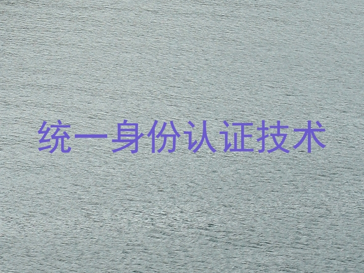 统一身份认证技术