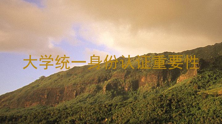 大学统一身份认证重要性
