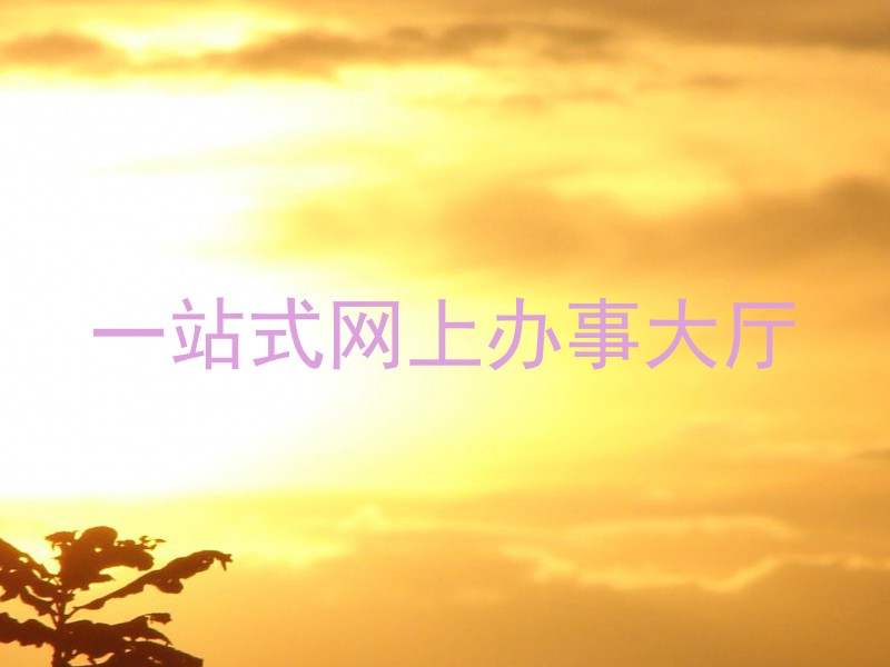 一站式网上办事大厅
