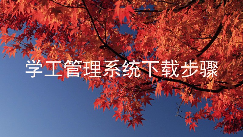 学工管理系统下载步骤