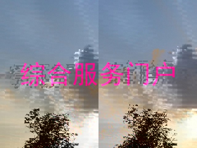 综合服务门户