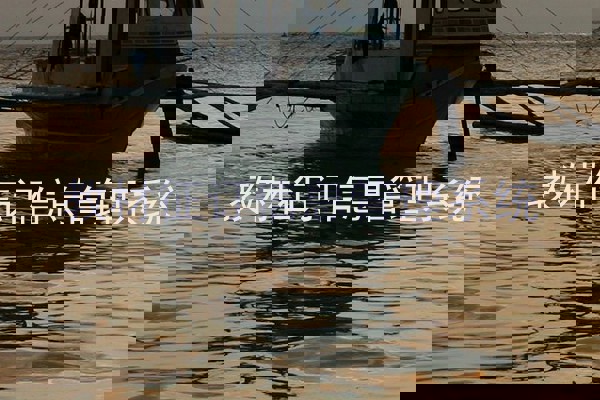 教材征订信息管理系统