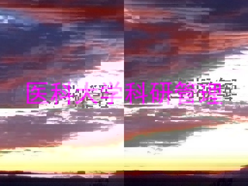 医科大学科研管理