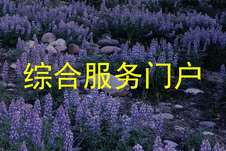 综合服务门户