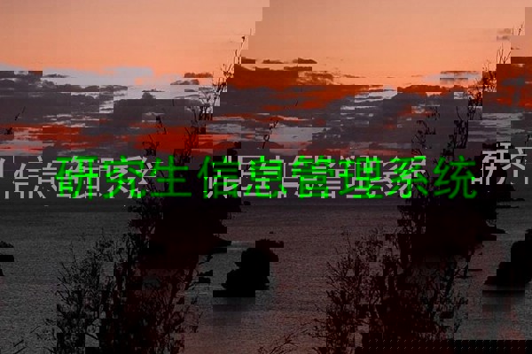 研究生信息管理系统