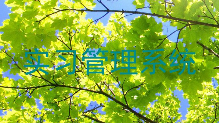 实习管理系统