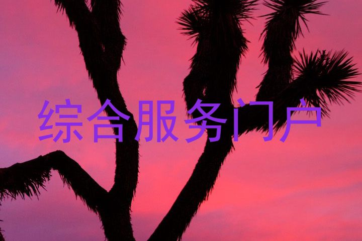 综合服务门户