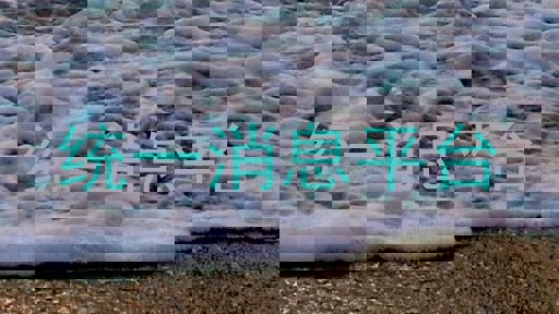 统一消息平台