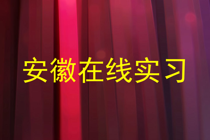 安徽在线实习