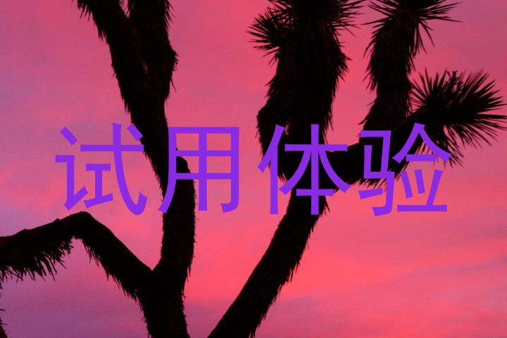 试用体验