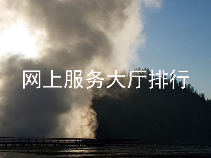 网上服务大厅排行