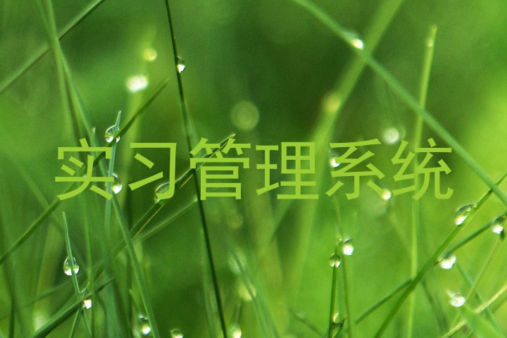 实习管理系统