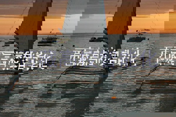 西藏高校智能化