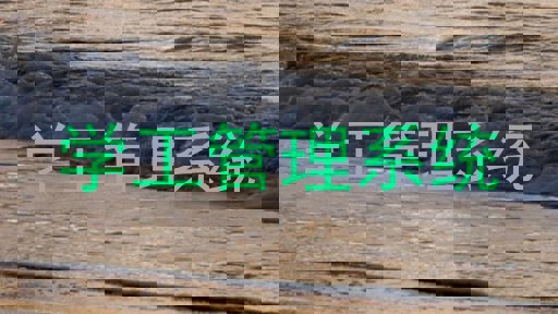 学工管理系统