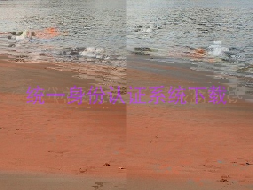 统一身份认证系统下载