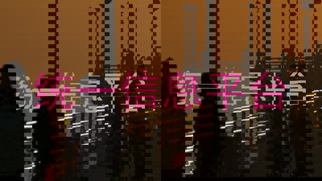 统一信息平台