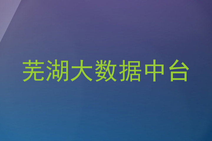 芜湖大数据中台