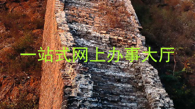 一站式网上办事大厅