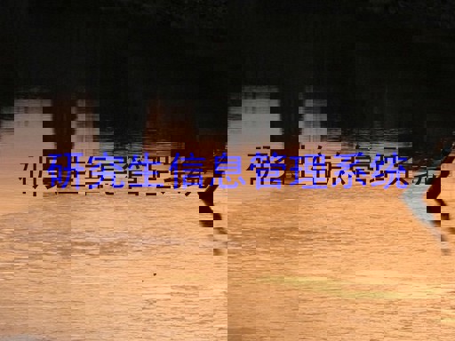 研究生信息管理系统
