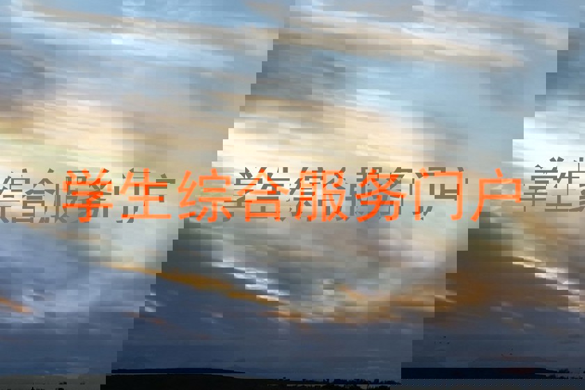学生综合服务门户