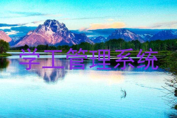 学工管理系统