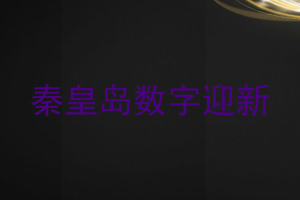 秦皇岛数字迎新