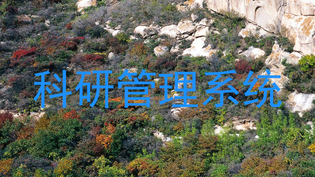 科研管理系统