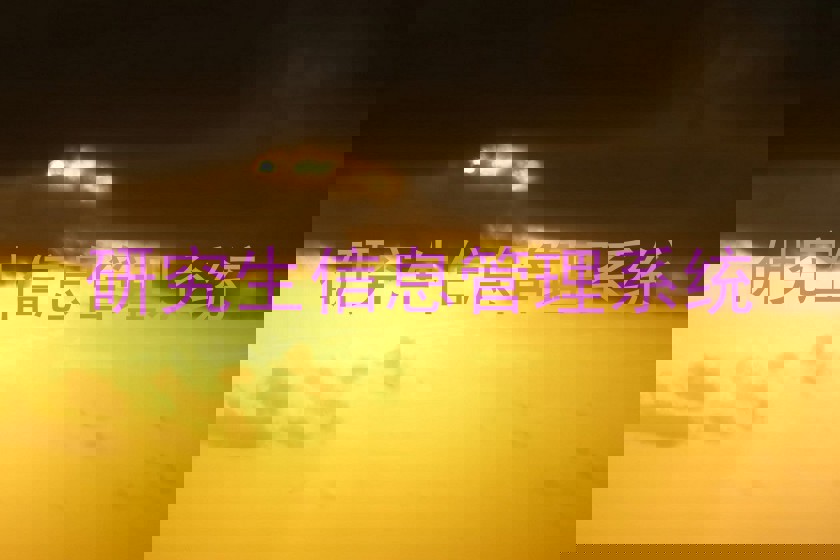 研究生信息管理系统