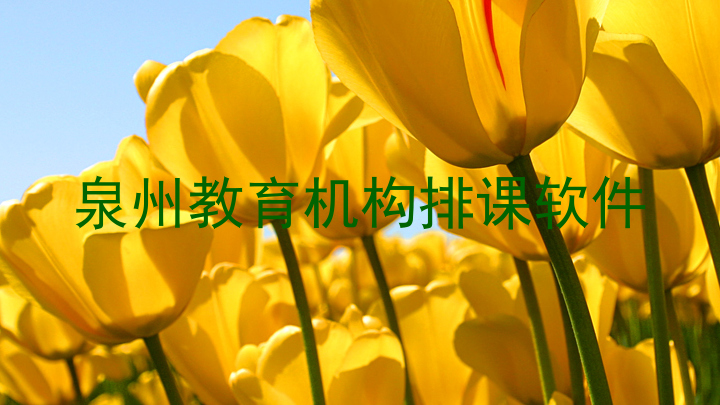 泉州教育机构排课软件