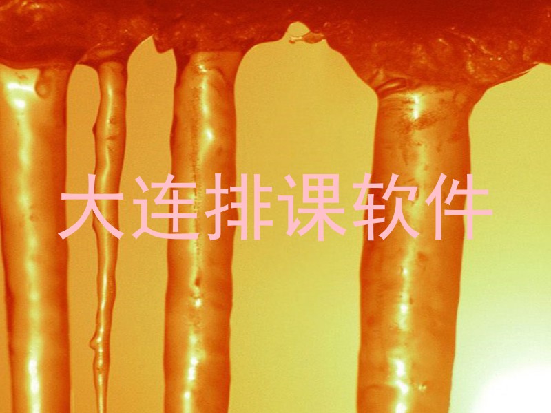 大连排课软件