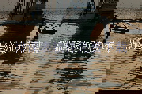 排课表软件免费下载
