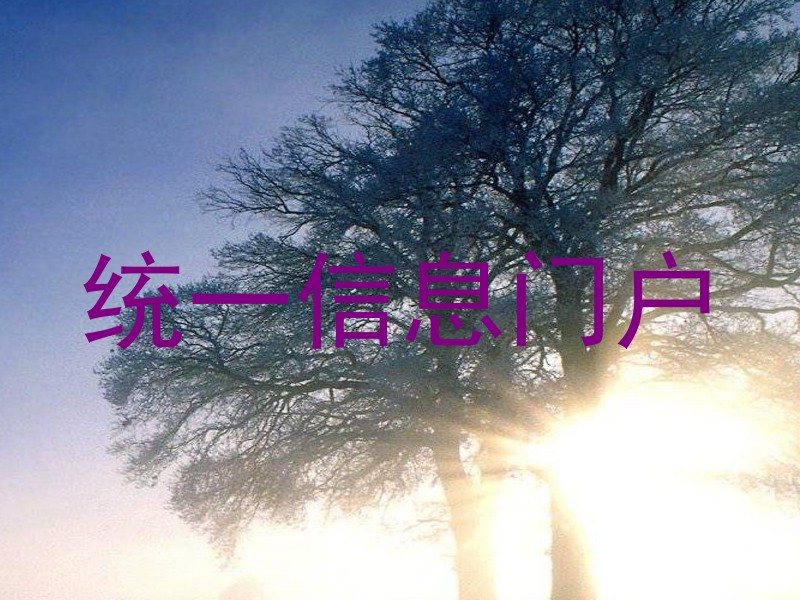 统一信息门户