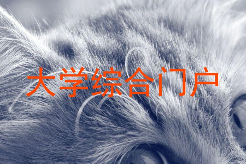 大学综合门户