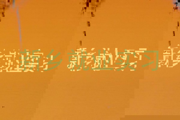 新乡就业实习