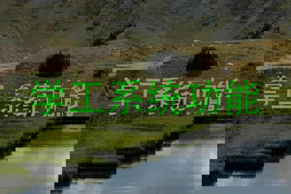 学工系统功能