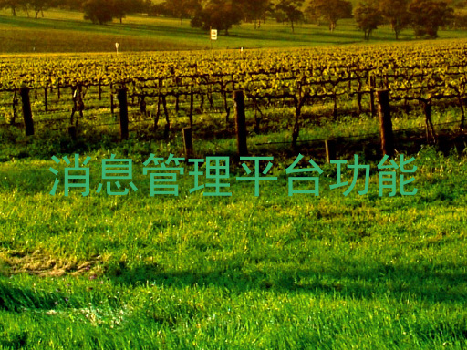 消息管理平台功能