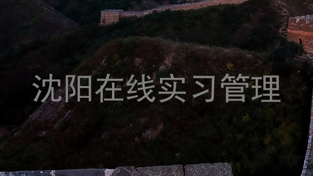 沈阳在线实习管理