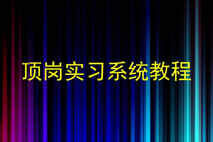 顶岗实习系统教程