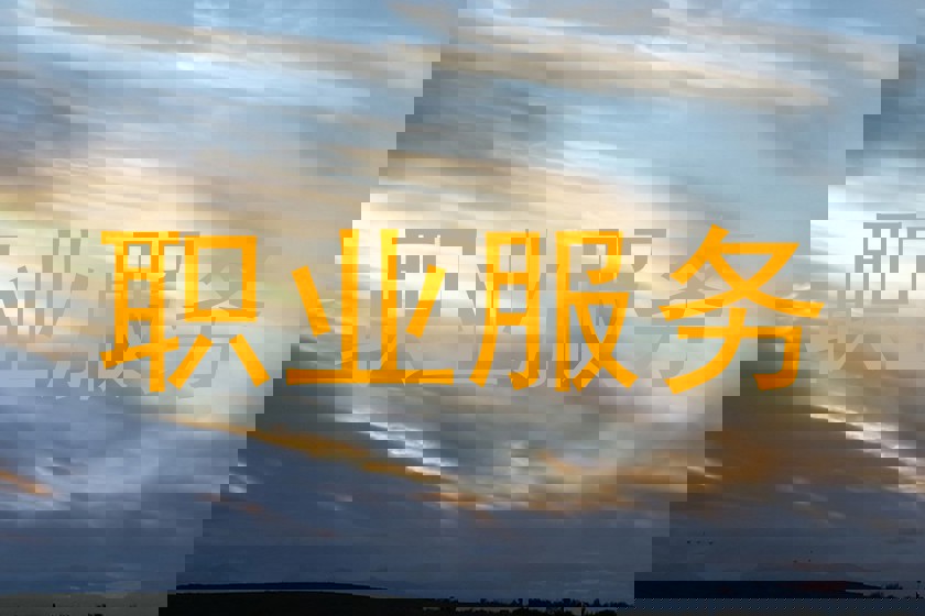 职业服务