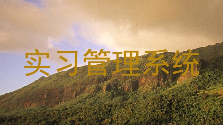 实习管理系统
